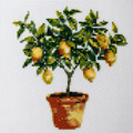 Lemon Tree Cross Stitch Kit