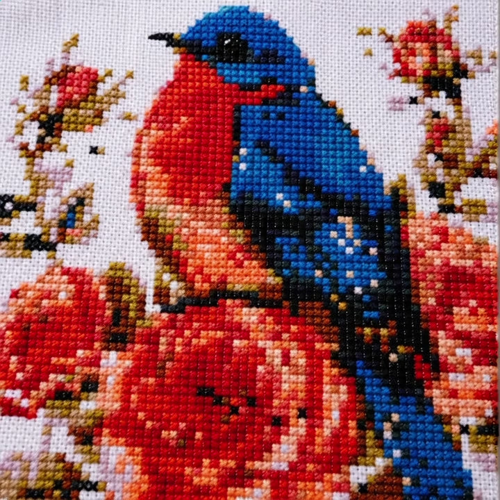 Cross Stitch Kit  – Bluebird and Roses